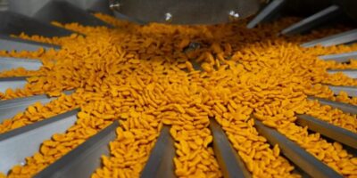 Campbell Soup ouvre une nouvelle ligne de production de Goldfish dans l'Utah