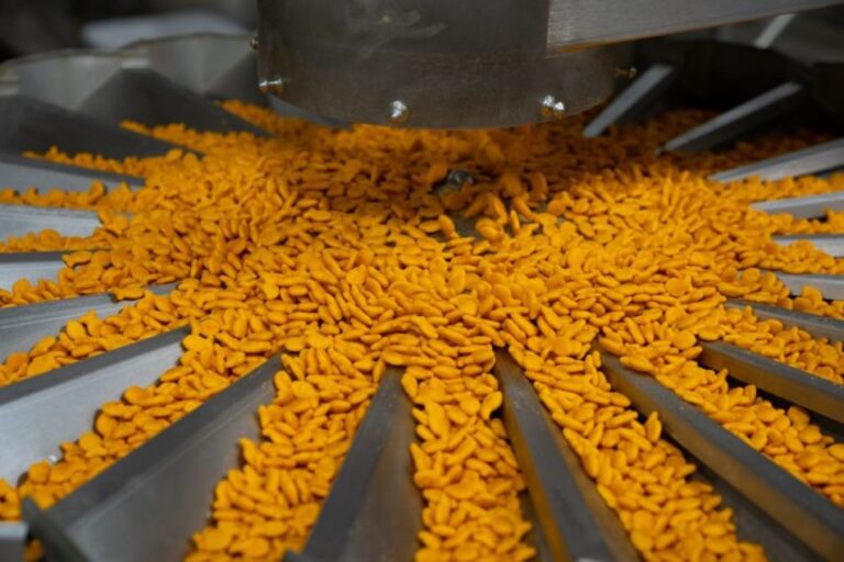 Campbell Soup ouvre une nouvelle ligne de production de Goldfish dans l'Utah
