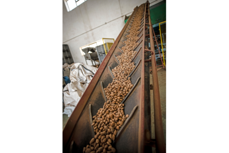 Une fois de plus, acquiert Big Tree Organic Farms