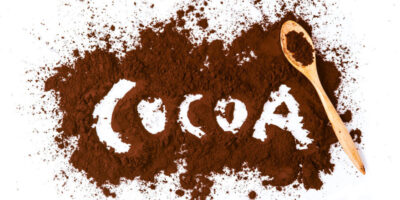 T. Hasegawa développe un substitut de poudre de cacao