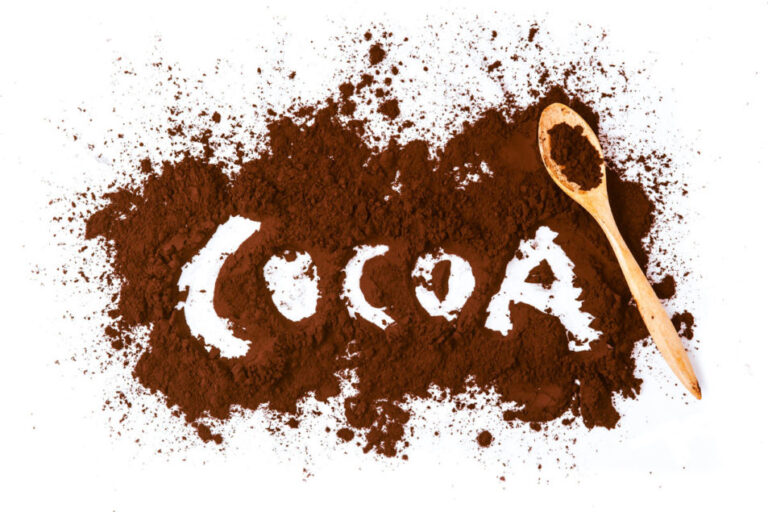 T. Hasegawa développe un substitut de poudre de cacao