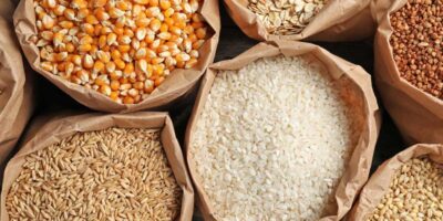 Hausse mondiale des prix alimentaires en septembre