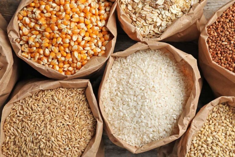 Hausse mondiale des prix alimentaires en septembre