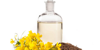 Burcon crée un substitut de protéines d'œuf à base de plantes