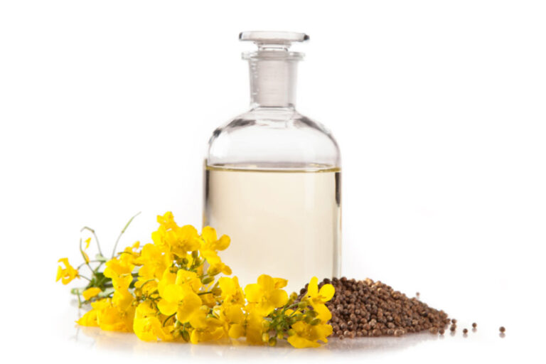 Burcon crée un substitut de protéines d'œuf à base de plantes