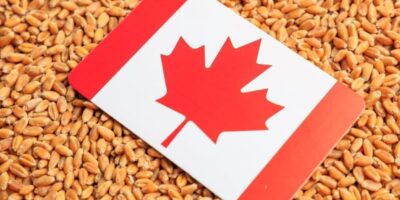 Rapport : Cinq tendances alimentent les décisions d'achat des consommateurs