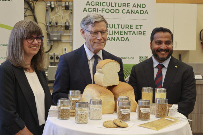 Le Canada augmente ses investissements dans le secteur céréalier