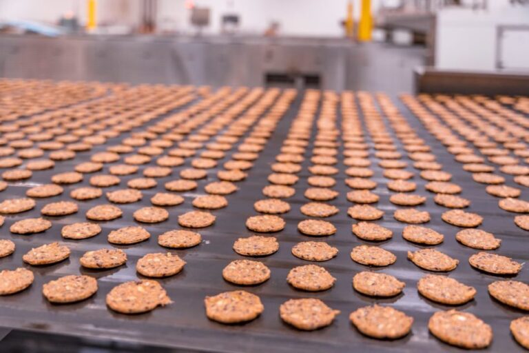 Mary's Gone Crackers s'appuie rapidement sur ses succès de l'année dernière