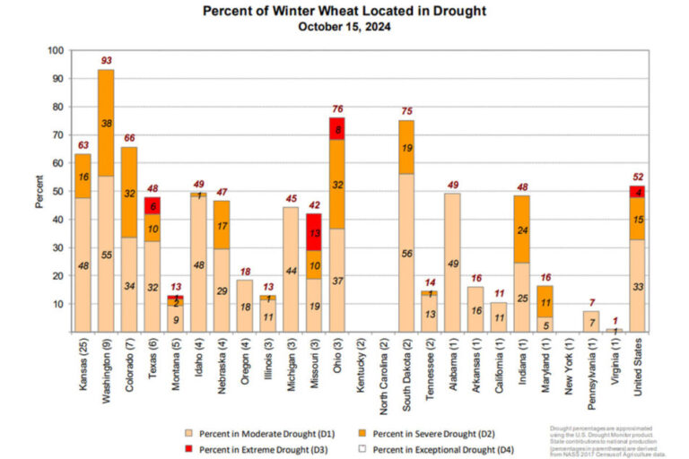 La Niña pourrait aggraver les conditions de sécheresse dans les principales zones de blé