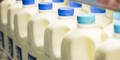 Les prix des produits laitiers à la consommation restent élevés à court terme