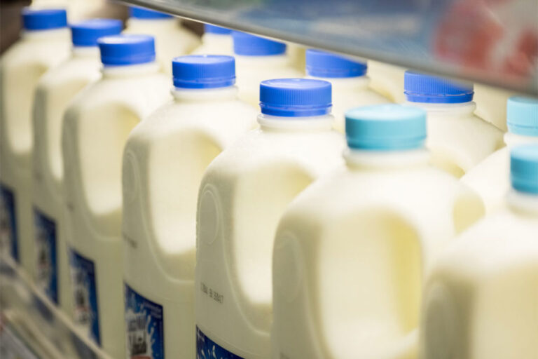 Les prix des produits laitiers à la consommation restent élevés à court terme