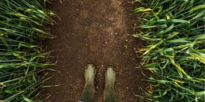 Les plaines américaines reçoivent de la pluie et d'autres à venir