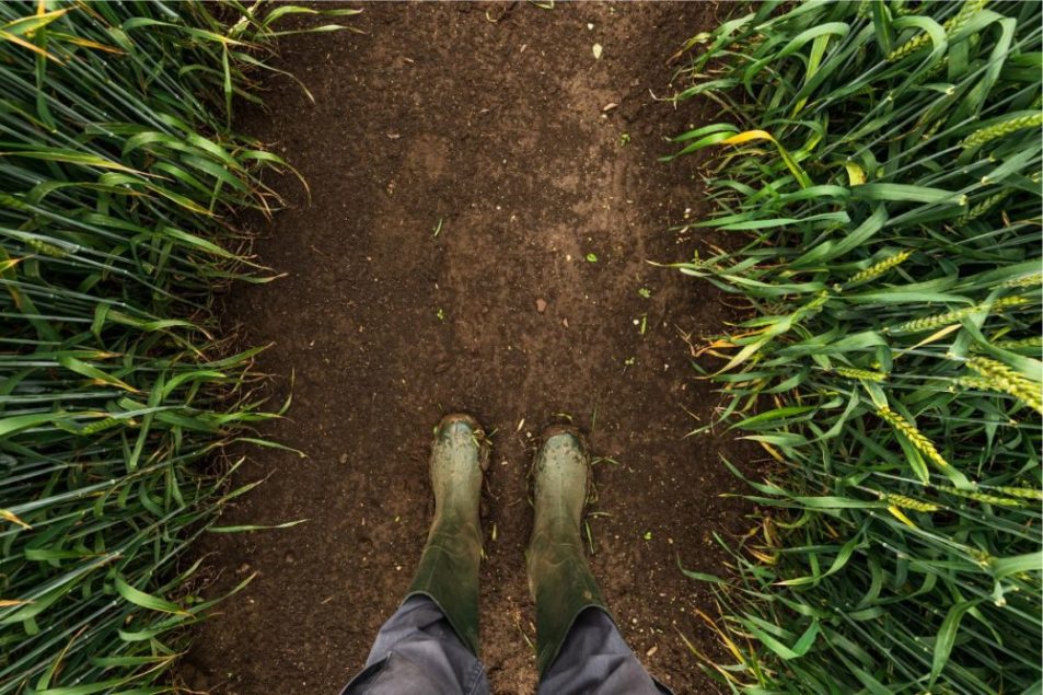 Les plaines américaines reçoivent de la pluie et d'autres à venir