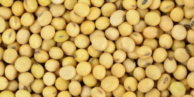 Beck's inaugure une usine de soja dans le Missouri