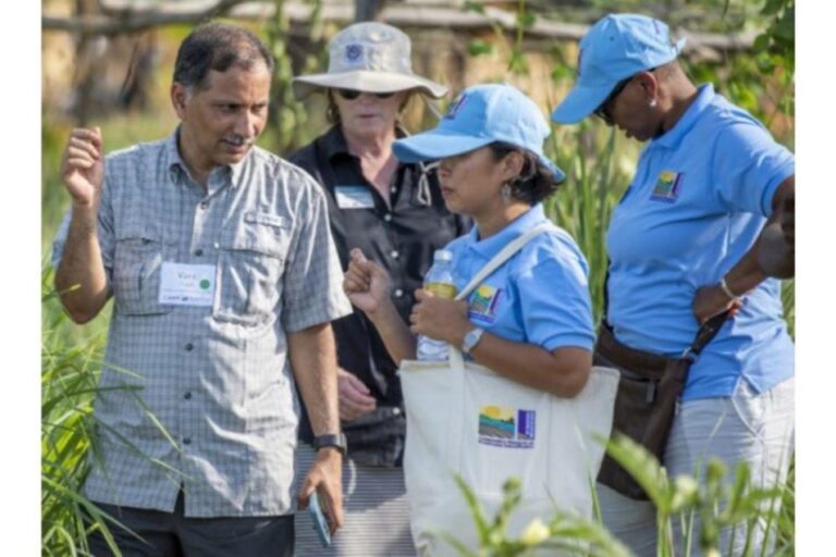 KSU choisi pour diriger un programme d'agriculture durable