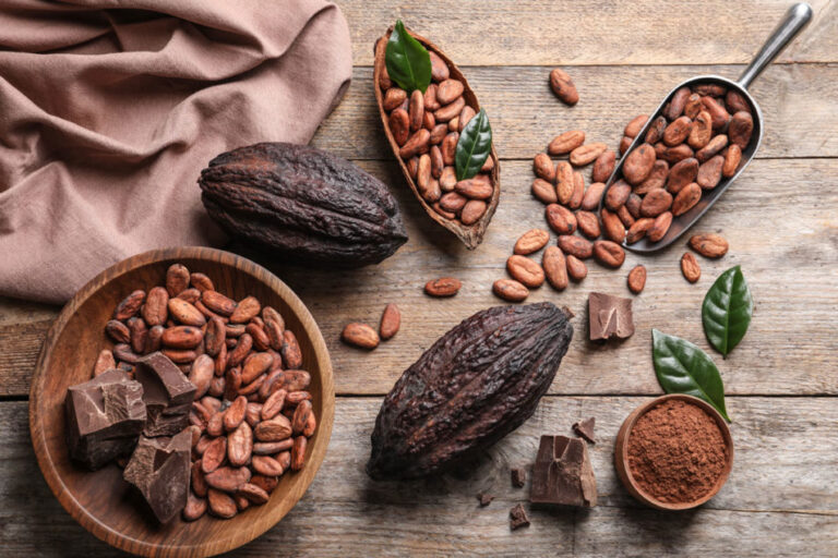 Barry Callebaut présente des fruits de cacao recyclés