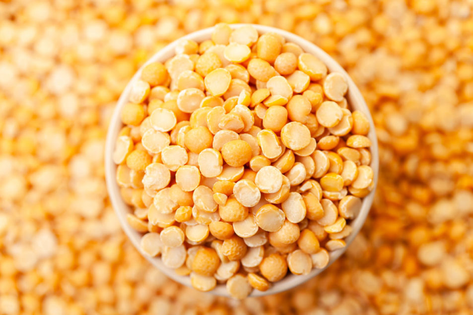 Burcon étend sa gamme de protéines végétales