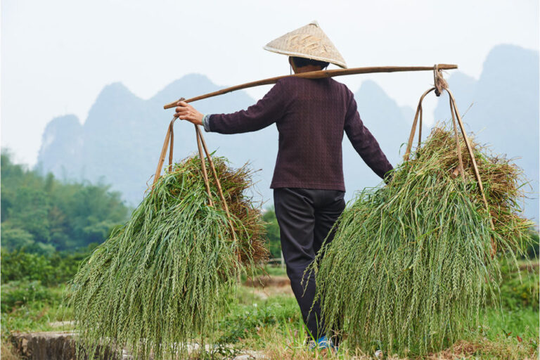 Le boom des importations chinoises a-t-il atteint son apogée ?