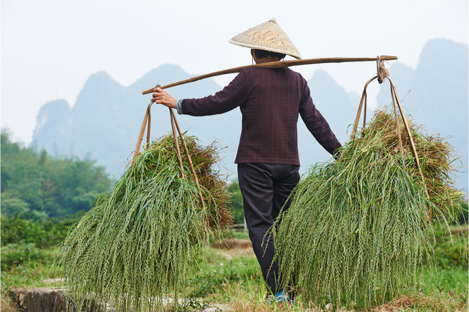 Le boom des importations chinoises a-t-il atteint son apogée ?
