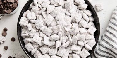 Nourriture pour chiots