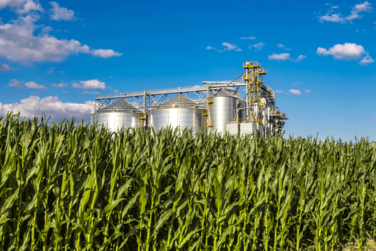 Cargill envisage le rachat de ProGold