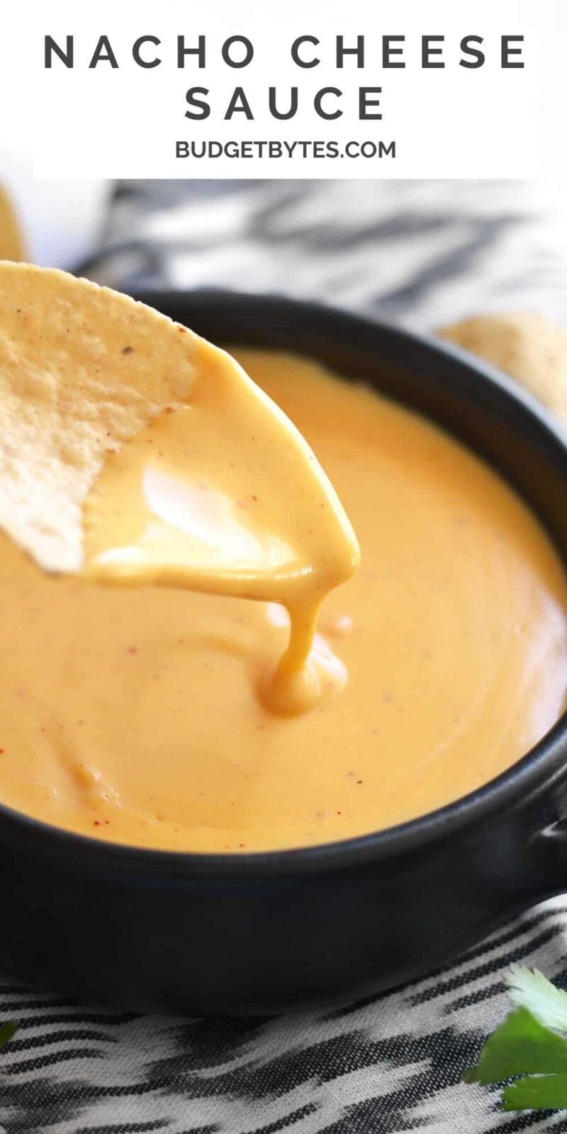sauce au fromage dégoulinant d'une chips dans un bol