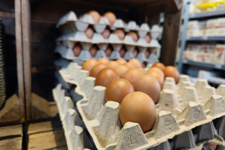 Les vacances et l'IAHP contribuent à la volatilité du marché des œufs