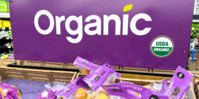 Perspectives des ingrédients biologiques