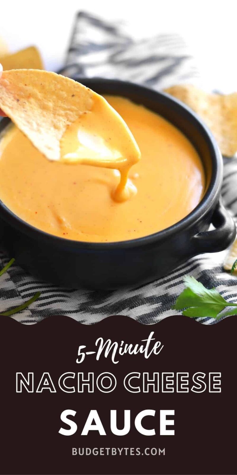 Sauce au fromage Nacho dégoulinant d'une puce dans un bol