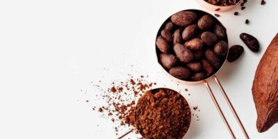 Identifier des alternatives économiques au cacao