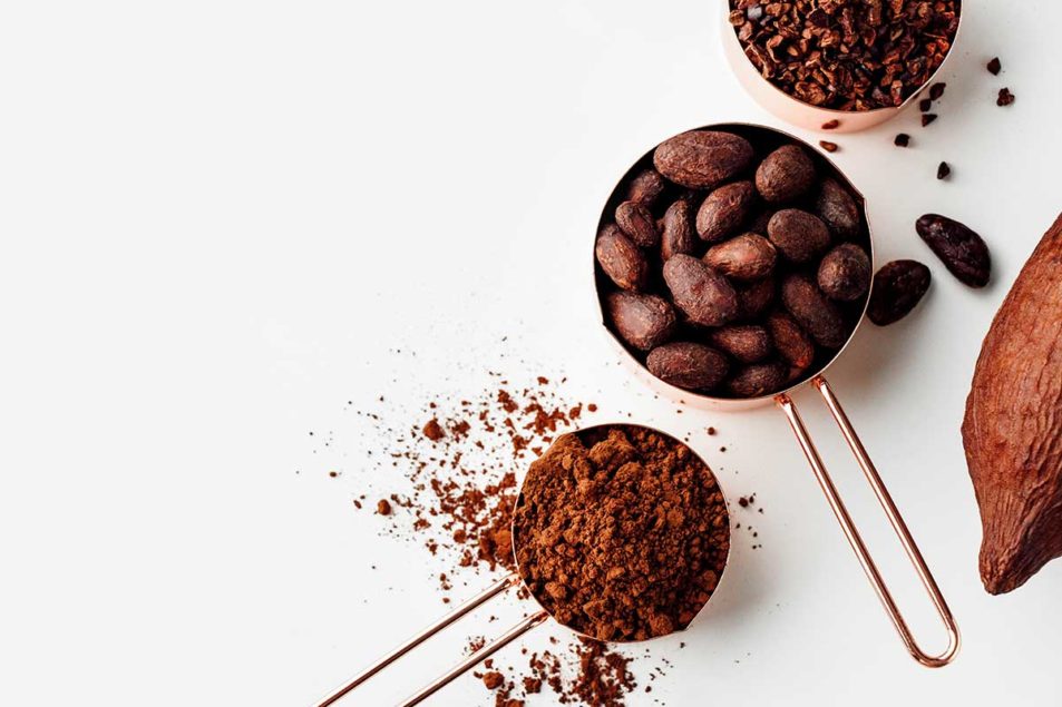 Identifier des alternatives économiques au cacao