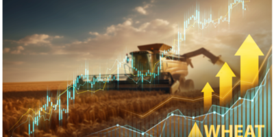 Le Groupe CME prévoit des contrats à terme sur le blé de printemps