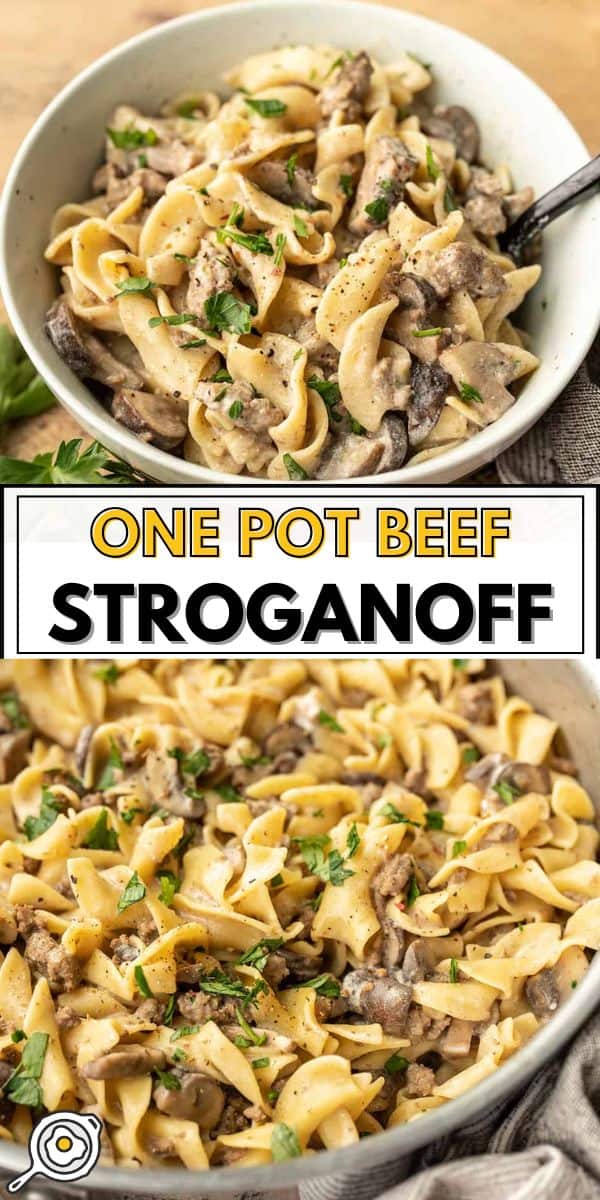 Image d'épingle de bœuf Stroganoff