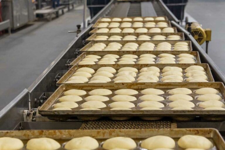 La boulangerie italienne de Rotella réduit ses déchets grâce au projet Ag Alchemy