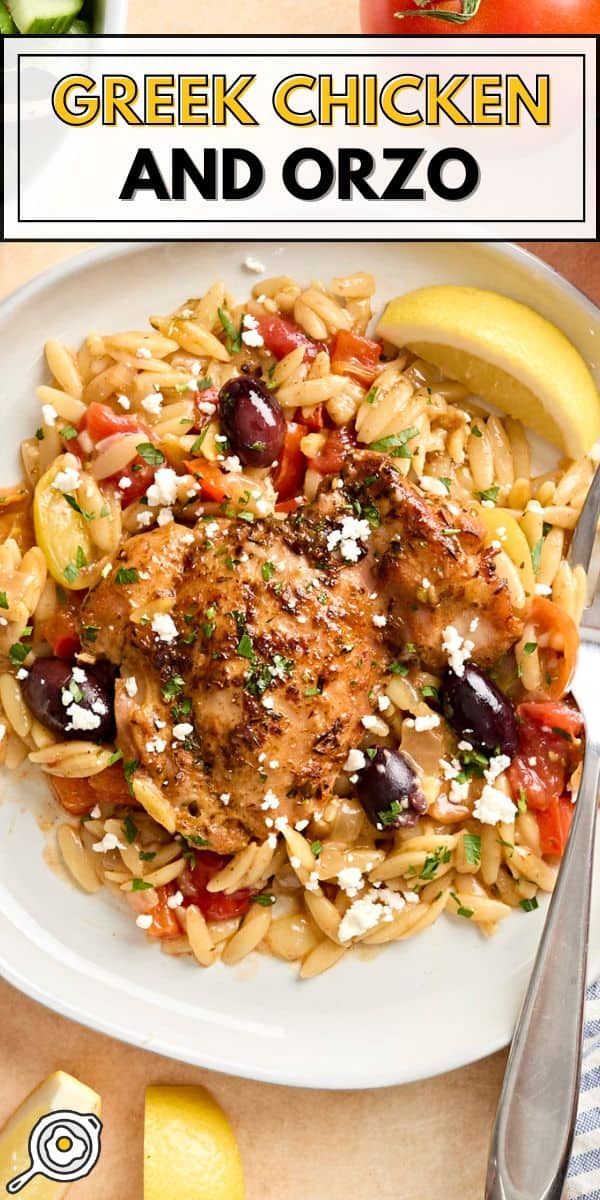 Image du poulet grec et de l'orzo