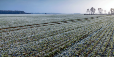 Le rapport soutient les préoccupations de hiverkill