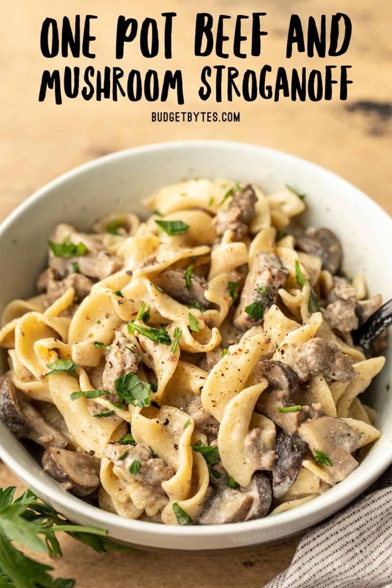 vue latérale d'un bol rempli de bœuf et de champignons stroganoff avec le texte du titre en haut
