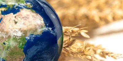 Considérant l'héritage durable d'un embargo de céréales non considéré