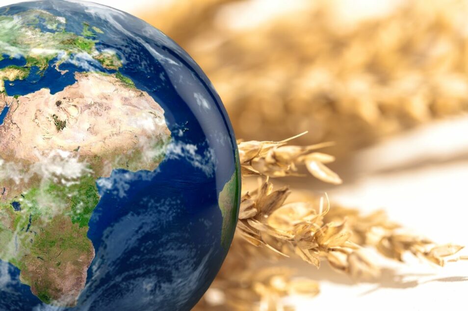 Considérant l'héritage durable d'un embargo de céréales non considéré