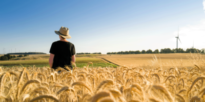 Le besoin urgent de pratiques durables dans l’industrie de la boulangerie