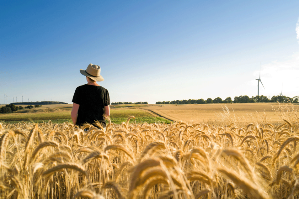 Le besoin urgent de pratiques durables dans l’industrie de la boulangerie