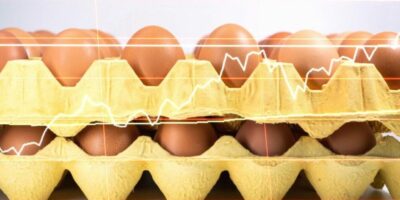 Les prix des œufs grimpent pour enregistrer des sommets