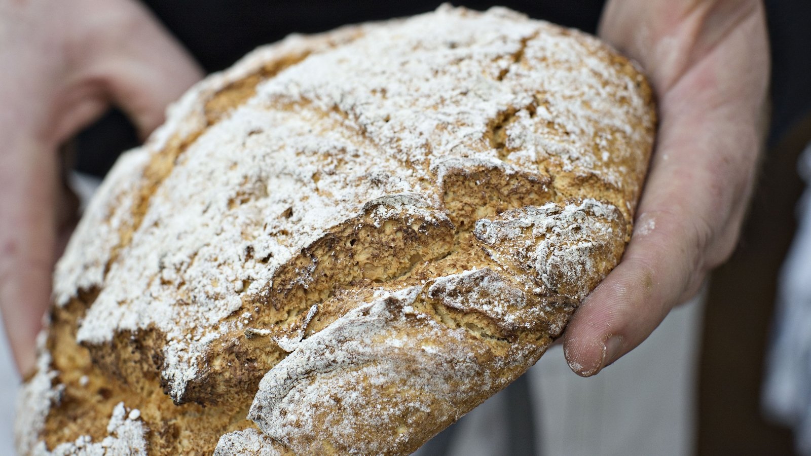 Pas de casserole en tranches? Voici 12 recettes de pain faciles à faire