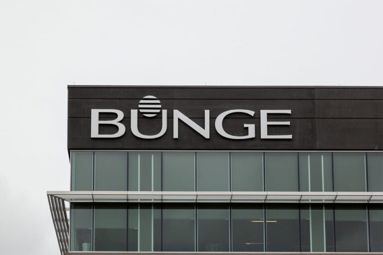 Des boules de vue décevantes vers le bas Bunge