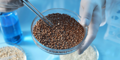 GFF Research à se déshabiller dans un nouvel affilié