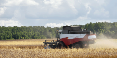 Sac mélangé pour le blé mondial dans le rapport de l'offre et de la demande