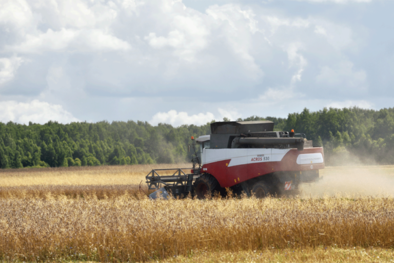 Sac mélangé pour le blé mondial dans le rapport de l'offre et de la demande