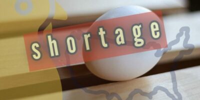 L'œuf incroyable et indisponible