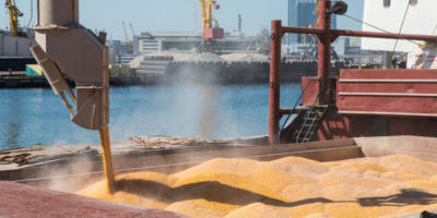 Le maïs américain exporte une grande année à ce jour