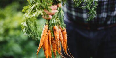 Directement à la source: 10 magasins de ferme à visiter en Irlande